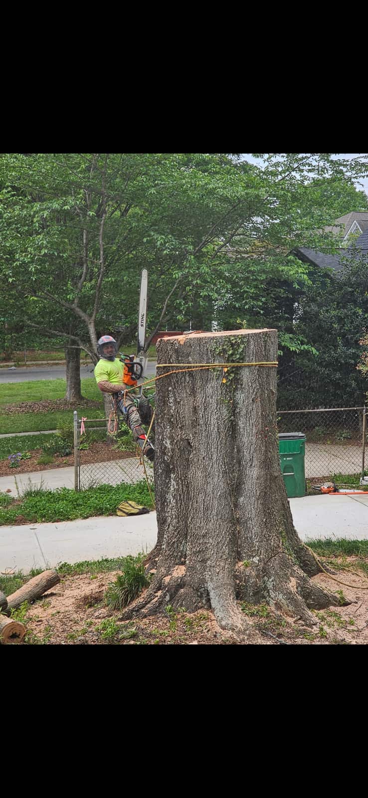 Atlantic Tree Services owner or lead arborist