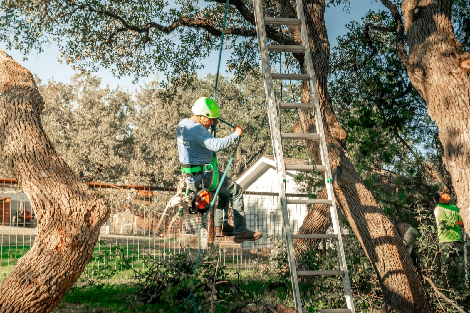 Land clearing services Charlotte and surrounding counties