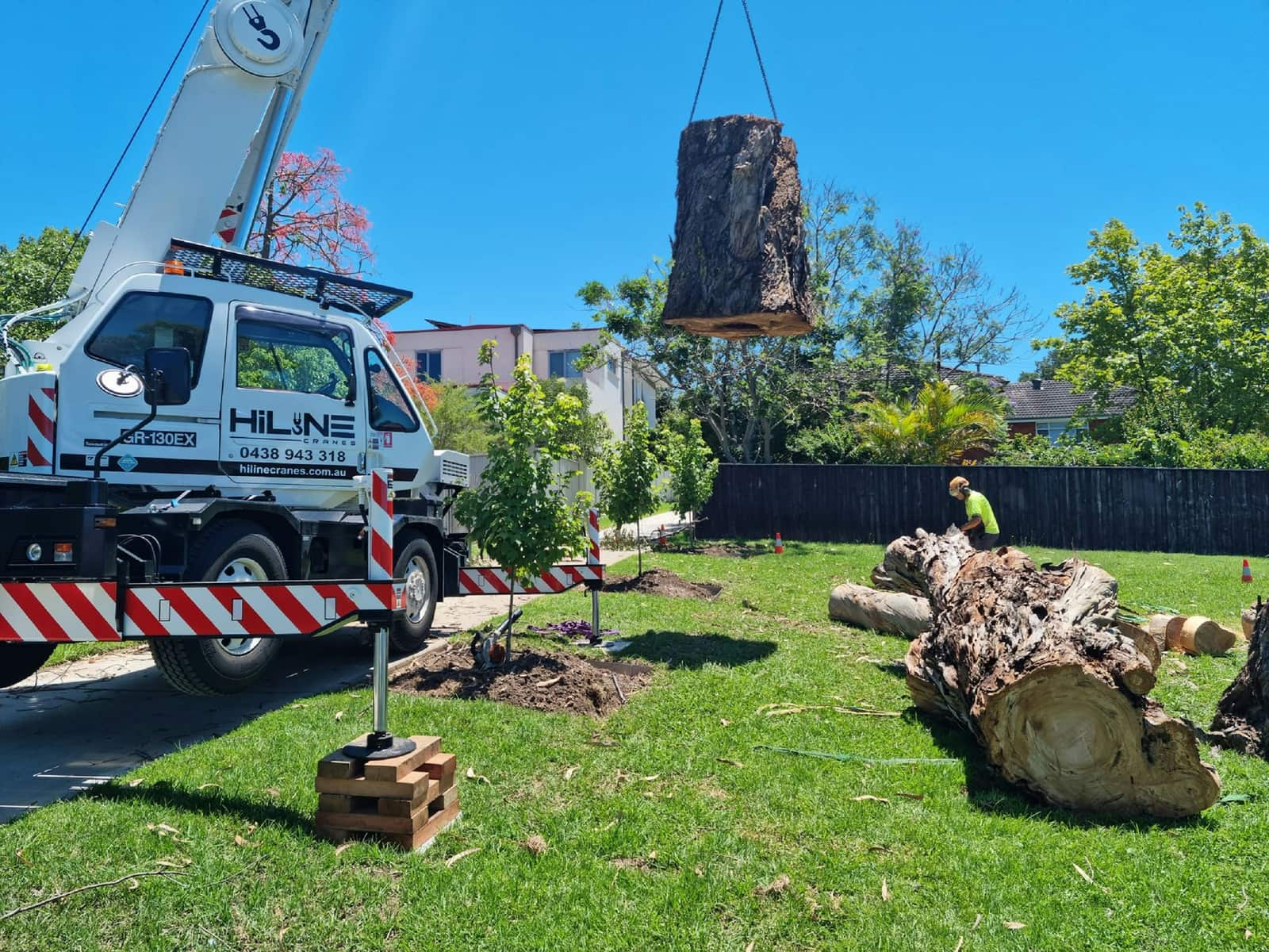 Stump grinding and root removal Charlotte